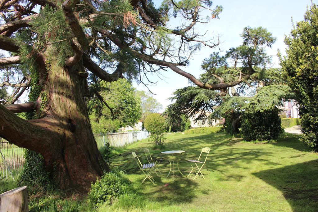 Chateau De Villeneuve - Montolieu Kültér fotó